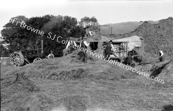 HARVEST TIME IN TULLABY THRESHING